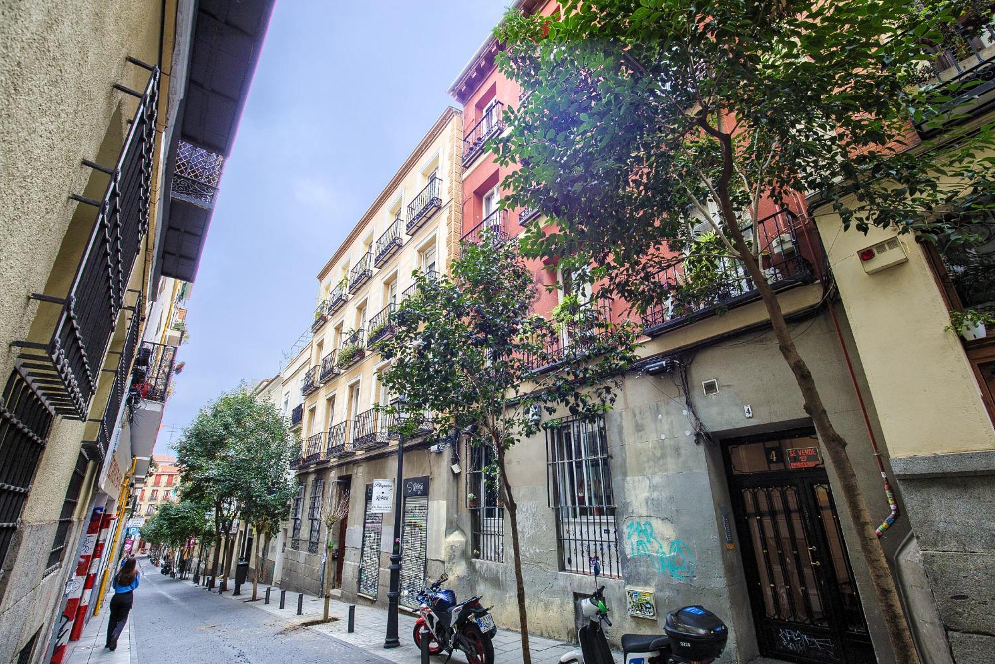 Intimo Estudio En Madrid, Centro, 2pax, Wifi & Tv Appartamento *